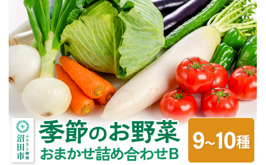 季節のお野菜 おまかせセット B（9～10種類）詰め合わせ