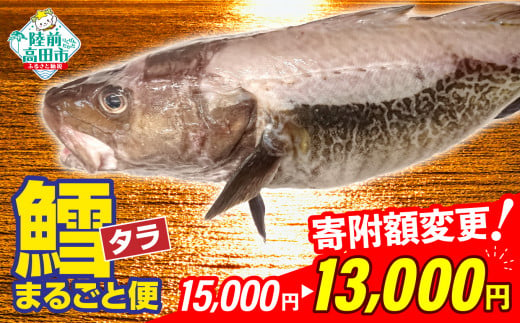 [先行予約][下処理する]タラまるごと[1匹](※下処理可) 鱈 タラ 鮮魚 海鮮 お刺身 魚介 お祝い 宴会 時短 便利 岩手 陸前高田市[2024年12月〜発送予定]寄附額変更