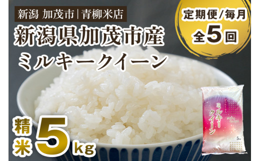 【令和6年産新米先行予約】【定期便5ヶ月毎月お届け】新潟県央地区 ミルキークイーン 精米5kg 新潟米 新潟産 お米  白米 加茂市 青柳米店 1013839 - 新潟県加茂市