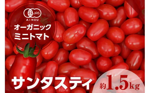 オーガニックミニトマト（サンタスティ）約1.5kg ／ とまと 野菜 高糖度 スナックタイプ 愛知県 特産品 1013501 - 愛知県知多市