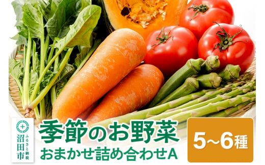 季節のお野菜 おまかせセット A（5～6種類）詰め合わせ 1354020 - 群馬県沼田市