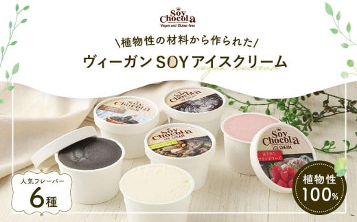 ヴィーガンSOYアイスクリーム　６個セット（ミニカップ６種類）（100%植物性・グルテンフリー）福岡市製造