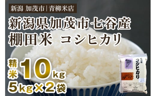 【令和6年産米】新潟産コシヒカリ 加茂市七谷産 棚田米 精米10kg（5kg×2）白米 真空パック 青柳米店 232669 - 新潟県加茂市