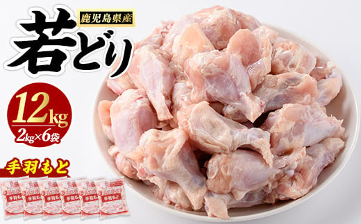 若どり手羽元(計12kg・2kg×6袋)  鶏肉 小分け 冷凍 手羽元 【まつぼっくり】matu-6097