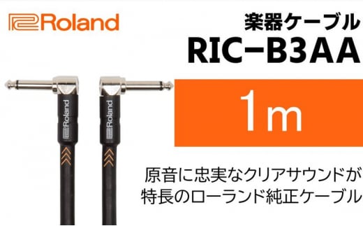 【Roland純正】楽器ケーブル 1m/RIC-B3AA【配送不可：離島】 [№5786-5956]