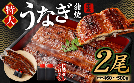 国産 特大 うなぎ 蒲焼 2尾 (460 〜 500g)と 特製タレ 2個 セット 鰻 かば焼き タレ付 冷凍