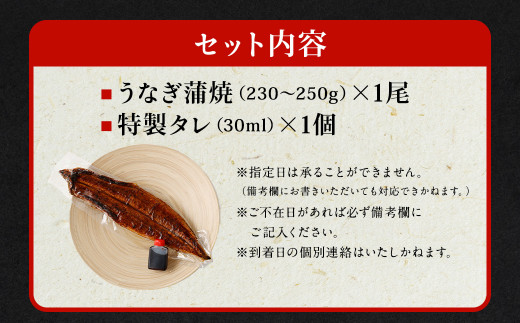 【土用の丑の日に間に合う!】 国産 特大 うなぎ 蒲焼 1尾 （230 ~ 250g） と 特製タレ 1個 セット 鰻 かば焼き