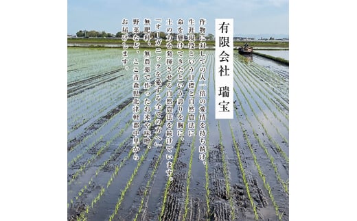 青森県中泊町のふるさと納税 令和5年産 つがるロマン 中泊産 こだわりの有機米 （玄米） 10kg（5kg×2） ＜有機JAS認証＞ 【瑞宝(中里町自然農法研究会)】 9月発送 有機JAS認定 有機米 米 こめ コメ お米 精米 玄米 津軽 無農薬 自然農法 農薬不使用 オーガニック 予約 青森 中泊町 F6N-060