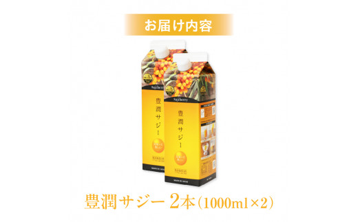 豊潤サジー 1000ml×2本セット サジージュース【紙パックタイプ】_M327-002 - 宮崎県宮崎市｜ふるさとチョイス - ふるさと納税サイト