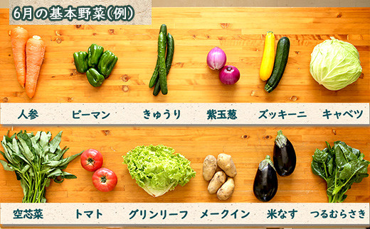 ７品目以上を基準に旬の野菜とお米セットでお届け