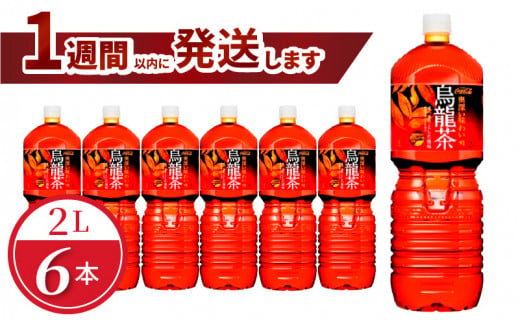 煌(ファン) 烏龍茶 PET 2L（6本入） 1484815 - 滋賀県守山市