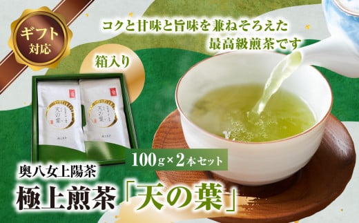 【ギフト用】奥八女上陽茶　極上煎茶「天の葉」100ｇ×2本セット箱 507283 - 福岡県八女市