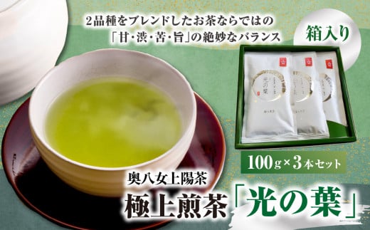 奥八女上陽茶　極上煎茶「光の葉」100ｇ×3本セット箱 507280 - 福岡県八女市