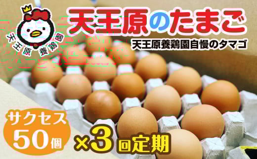 [定期便]3回定期 [天王原のたまご] サクセス卵 50個入り [定期便 3回定期便 セット たまご 卵 玉子 タマゴ 濃厚 ハリ 弾力 ボリューム 甘味 旨味 卵黄 風味 生 コク 甘味 卵かけご飯 卵焼き 目玉焼き オムレツ 茶碗蒸し お菓子作り パンの材料]