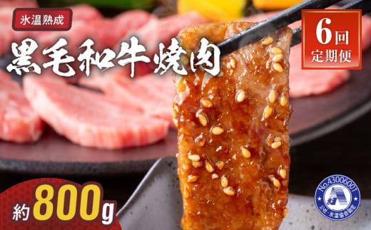 T103-22_6　氷温熟成　黒毛和牛　焼肉 約800g【定期便6回】_T103-0022_6 1366207 - 熊本県宇土市