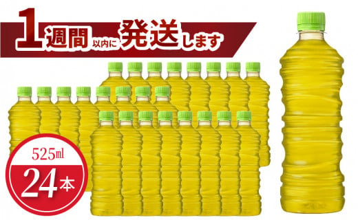 綾鷹 525ml PET ラベルレス（24本入） 1484813 - 滋賀県守山市