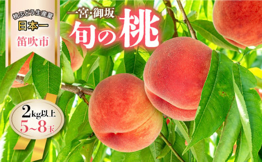 <25年発送先行予約>山梨県産 旬の桃 2kg以上(5～8玉)  180-004