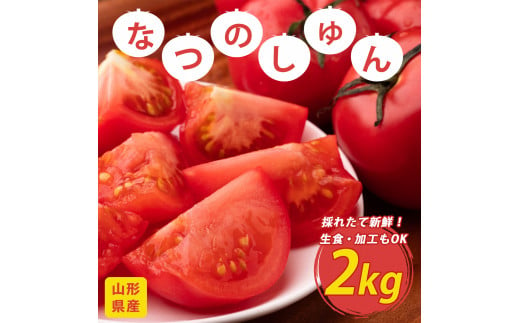 トマト なつのしゅん  2kg (約18〜22個【8月上旬〜9月中旬頃発送予定】　007-B-JF024