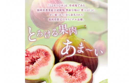 とよみつひめ（イチジク）＜8月発送開始分先行予約＞【A2-133】 - 福岡県飯塚市｜ふるさとチョイス - ふるさと納税サイト