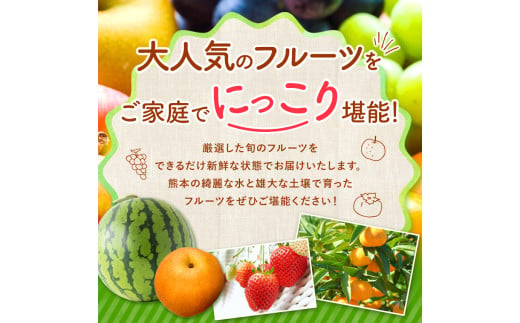 熊本県和水町のふるさと納税 【 定期便 6回 】 2か月毎 ニッコリ 堪能 ！ 人気 フルーツ ご家庭用  熊本県なごみ町 | 熊本県 熊本 くまもと 和水町 なごみ フルーツ 果物 いちご みかん 不知火 スイカ メロン イエローキング 肥後グリーン キウイ ぶどう シャインマスカット 梨 柿 厳選 旬 定期 定期便