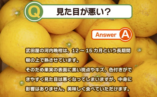 訳あり みかん職人の河内晩柑 大玉 10kg 約15～20個入り (なくなり次第終了) 河内晩柑 果物 柑橘 みかん 愛南ゴールド 蜜柑  グレープフルーツ ゼリー ジュース アイス 果物 フルーツ 健康 美容 ビタミン クエン酸 訳あり サイズミックス 規格外 送料無料 10kg  8000円 武田 ...