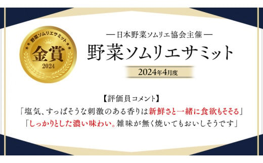 糖度9度以上 トマト 【 2025年収穫分 先行予約 】 スーパーフルーツトマト てるて姫 中箱 約1.2kg × 1箱 【12〜15玉/1箱】 糖度9度以上  ブランドトマト 2025年2月上旬発送開始 フルーツトマト トマト とまと てるてひめ 桜川市 茨城県桜川市 [BC033sa] - 茨城県桜川市  ...