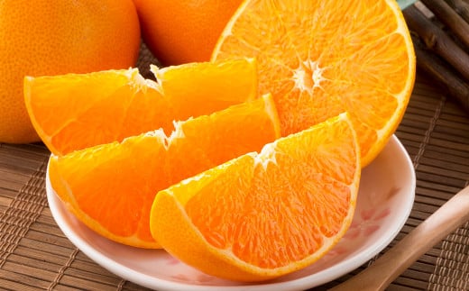せとか 4L〜Lサイズ みかん 蜜柑 柑橘 果物 くだもの フルーツ (521) [2025年2月下旬〜2025年3月下旬発送予定]
