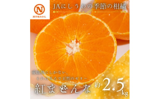 JAにしうわの季節の柑橘(紅まどんな 約2.5kg)＜F08-49＞【1443382】