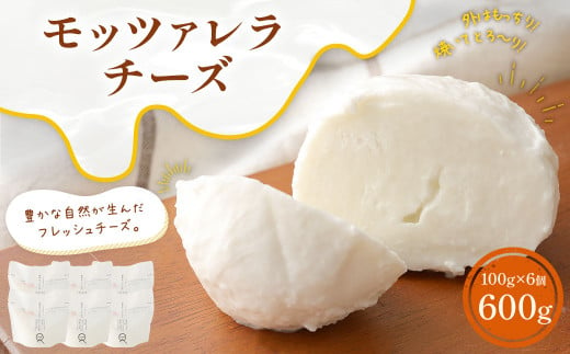 KUMAMOTOモッツァレラ 100g×6個 セット 合計600g チーズ モッツァレラチーズ フレッシュチーズ トッピング おつまみ 乳製品 冷蔵 1357139 - 熊本県合志市