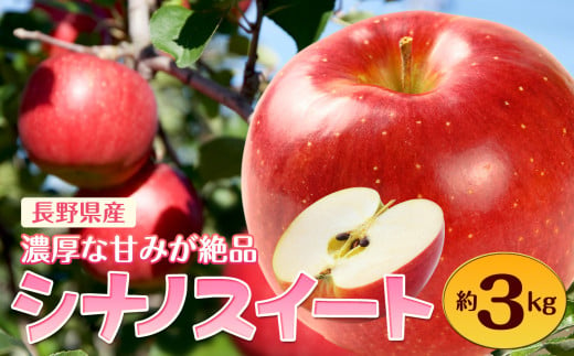 シナノスイート 約3kg | 特産品 フルーツ 果物 果実 りんご 林檎 リンゴ シナノスイート しなのすいーと 長野県 千曲市 信州 先行予約 982536 - 長野県千曲市