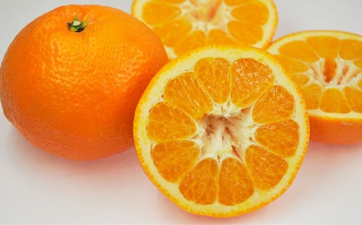 伊予柑 3L〜Lサイズ (約5kg) みかん 蜜柑 柑橘 果物 くだもの フルーツ (520) [2025年1月上旬〜2025年2月上旬発送予定]