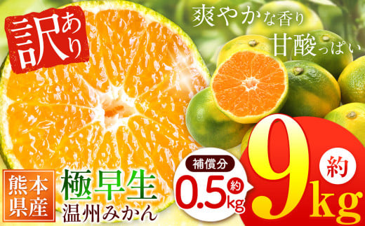 訳あり 熊本県産 温州みかん 極早生 約 9kg +約 0.5kg (補償分）| フルーツ 果物 くだもの 柑橘 柑橘類 みかん ミカン 蜜柑 ご家庭用 熊本県 玉名市