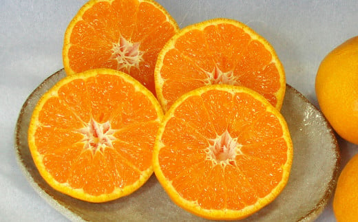カラマンダリン L〜Mサイズ (約5kg) 柑橘 果物 くだもの フルーツ (523) [2025年4月上旬〜2025年5月上旬発送予定]