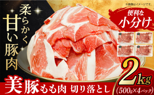 美豚のもも肉切落し(500g×4パック) 長崎県/有限会社長崎フードサービス [42ADAB017]