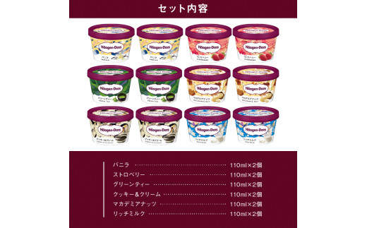 北海道浜中町のふるさと納税 【1か月以内に発送】ハーゲンダッツ『ミニカップ12個セット（定番フレーバー＆リッチミルク味）』アイスクリーム アイス スイーツ デザート_440303