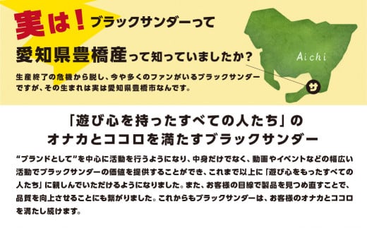 愛知県豊橋市のふるさと納税 美味しさイナズマ級！ ブラックサンダー 詰め合わせ セット 有楽製菓 お菓子 チョコレート チョコ 人気