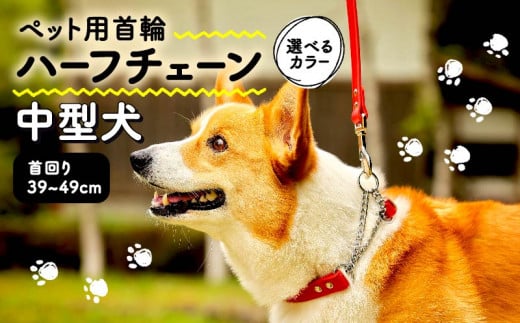 ペット用首輪 ハーフチェーン 中型犬用 Lサイズ カーキ 首回り43-49cm ペット 犬 愛犬 ワンちゃん 中型犬 首輪 リード 本革 レザー 牛革 牛 散歩 さんぽ ウォーキング 健康 おしゃれ 消耗品 大阪府 松原市 1136642 - 大阪府松原市