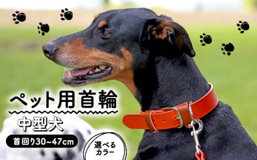 ペット用首輪 中型犬用 XLサイズ カーキ 首回り39-47cm ペット 犬 愛犬 ワンちゃん 中型犬 首輪 リード 本革 レザー 牛革 牛 散歩 さんぽ ウォーキング 健康 おしゃれ 消耗品 大阪府 松原市 1136621 - 大阪府松原市