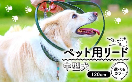 ペット用 リード 中型犬用 レッド 120cm 本革 ペット 犬 愛犬 ワンちゃん 中型犬 首輪 リード 本革 レザー 牛革 牛 散歩 さんぽ ウォーキング 健康 おしゃれ 消耗品 大阪府 松原市 1136653 - 大阪府松原市