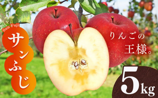 サンふじ りんご 5kg | 林檎 リンゴ 果物 くだもの フルーツ ふるーつ 長野県 千曲市 977484 - 長野県千曲市