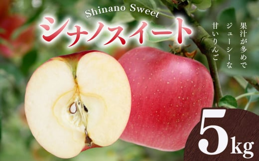りんご シナノスイート 5kg | 林檎 リンゴ 果物 くだもの フルーツ ふるーつ 長野県 千曲市 977486 - 長野県千曲市