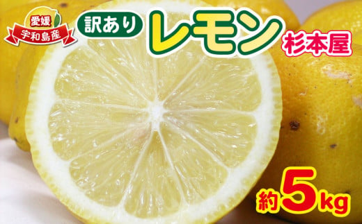 訳あり レモン 5kg  杉本屋 先行予約 わけあり れもん 檸檬 レモン果汁 酸味 爽やか 果実 サワー ジュース チューハイ remon 青レモン れもん 檸檬 果物 くだもの ビタミン フルーツ 柑橘 農家直送 産地直送 数量限定 国産 愛媛 宇和島 B010-143012 1457484 - 愛媛県宇和島市