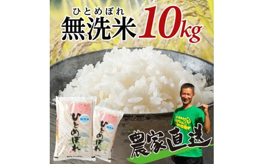 SA2359　令和6年産【無洗米】ひとめぼれ　10kg(5kg×2袋)　農家直送・鳥海山麓やわたの米 TR