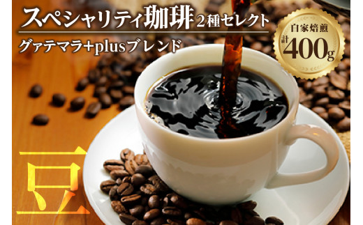 [スペシャリティ珈琲豆]グァテマラ+Plusブレンド珈琲 / コーヒー コーヒー豆 焙煎 ブレンド 愛知県