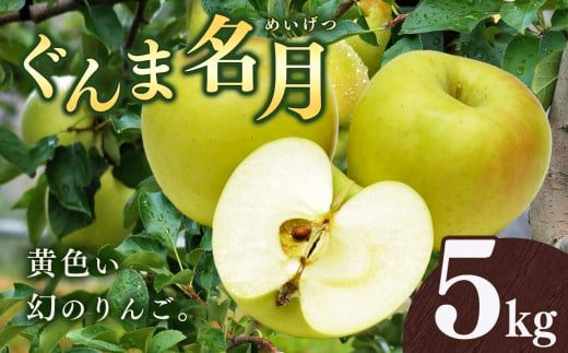 りんご ぐんま名月 5kg  | 林檎 リンゴ 果物 くだもの フルーツ ふるーつ 長野県 千曲市 977483 - 長野県千曲市