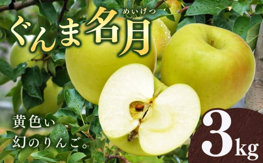 りんご ぐんま名月 3kg  | 林檎 リンゴ 果物 くだもの フルーツ ふるーつ 長野県 千曲市 1387728 - 長野県千曲市