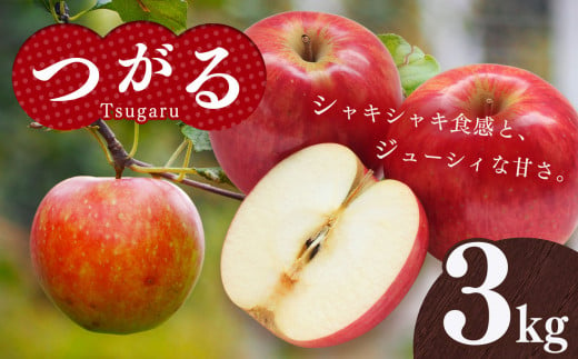 りんご つがる 3kg | りんご リンゴ つがる 果物 くだもの フルーツ ふるーつ 長野県 千曲市 1387655 - 長野県千曲市