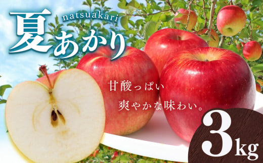 りんご 夏あかり 3kg | 林檎 なつあかり リンゴ 果物 くだもの フルーツ ふるーつ 長野県 千曲市 1387529 - 長野県千曲市