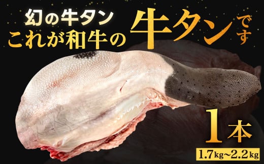 幻の牛タン これが和牛の牛タンです 【2025年6月上旬～下旬発送予定】 黒毛和牛 和牛 牛タン 肉 お肉 高級 サシ 焼肉 BBQ 希少 新鮮 国産 九州産 冷蔵 1357846 - 福岡県北九州市