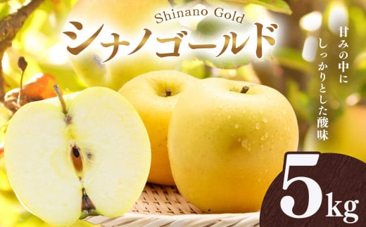 りんご シナノゴールド 5kg | 林檎 リンゴ 果物 くだもの フルーツ ふるーつ 長野県 千曲市 977487 - 長野県千曲市